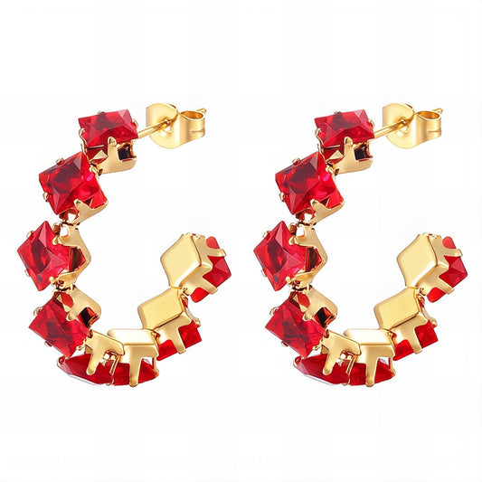 Scarlet Allure Earrings    Code: ERGP0019
