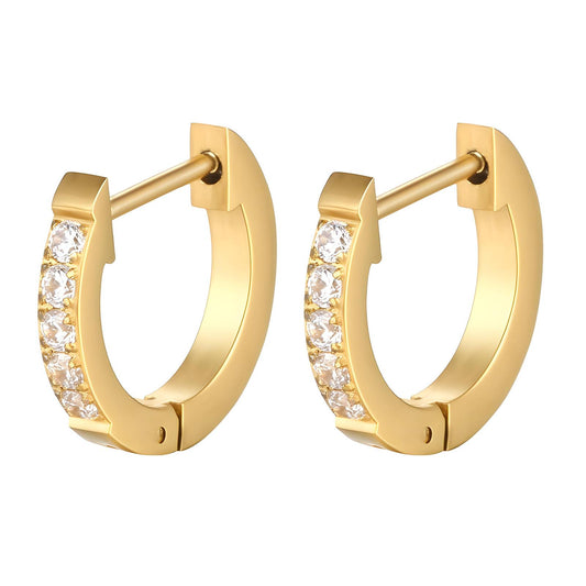 Lustrous Pavé Earrings     Code: ERGP0021